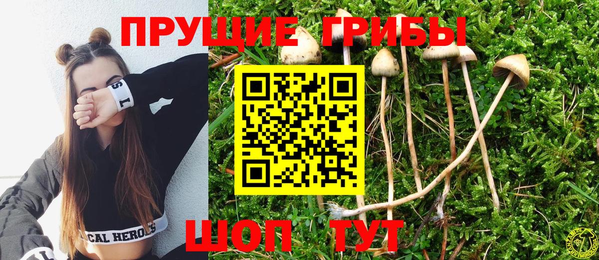 Гусь-Хрустальный  Галлюциногенные грибы Cubensis  Вход с VPN 