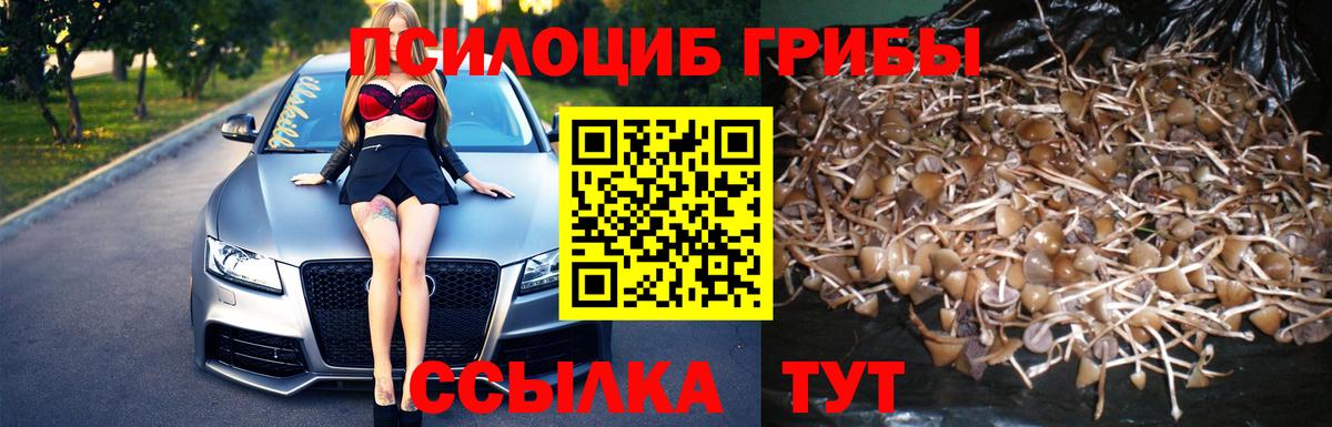 Псилоцибиновые грибы ЛСД Гусь-Хрустальный